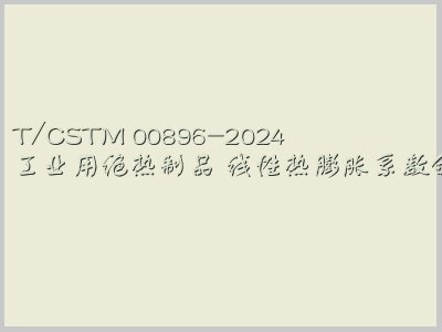 T/CSTM 00896-2024封面图