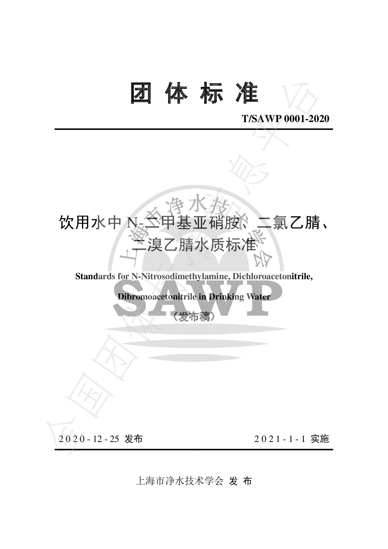T/SAWP 0001—2020