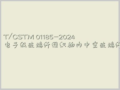 T/CSTM 01185-2024