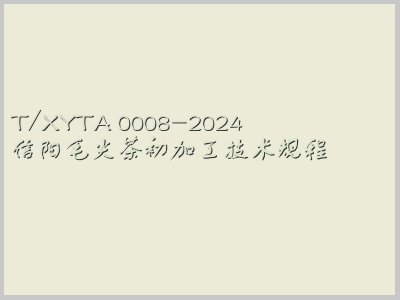 T/XYTA 0008-2024封面图