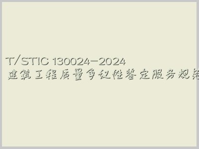 T/STIC 130024-2024封面图