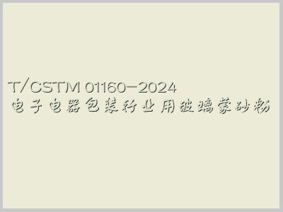 T/CSTM 01160-2024
