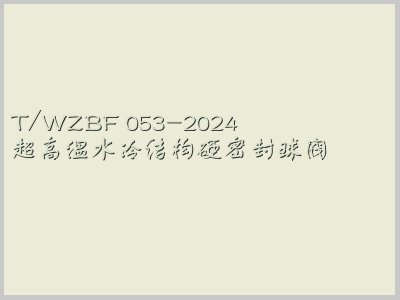 T/WZBF 053-2024封面图