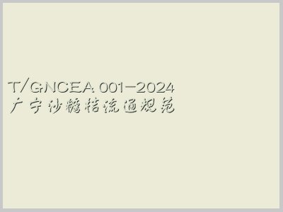 T/GNCEA 001-2024封面图