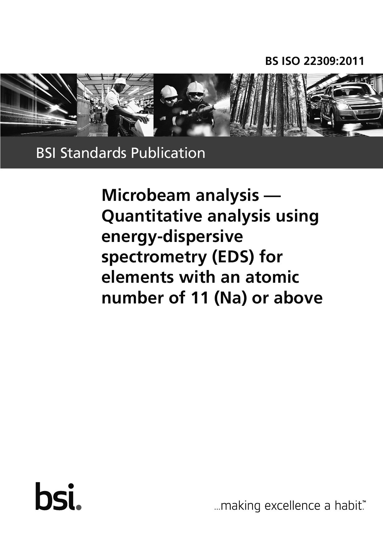 BS ISO 22309:2011封面图