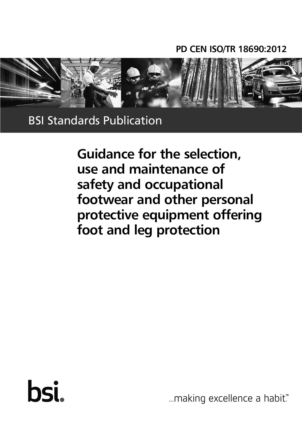 BS PD CEN ISO/TR 18690:2012封面图