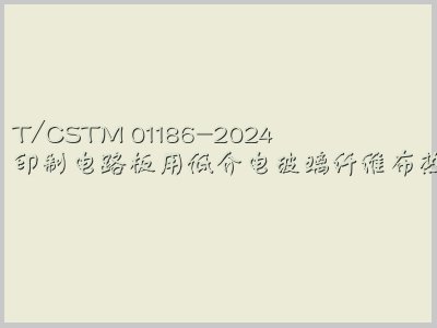 T/CSTM 01186-2024封面图