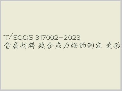 T/SCGS 317002-2023