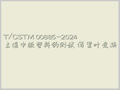 T/CSTM 00885-2024