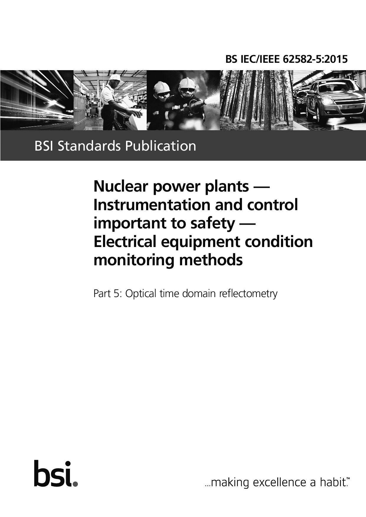 BS IEC/IEEE 62582-5:2015