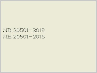 NB 20501-2018封面图
