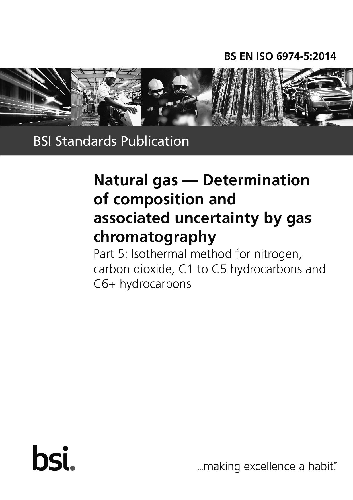 BS EN ISO 6974-5:2014封面图