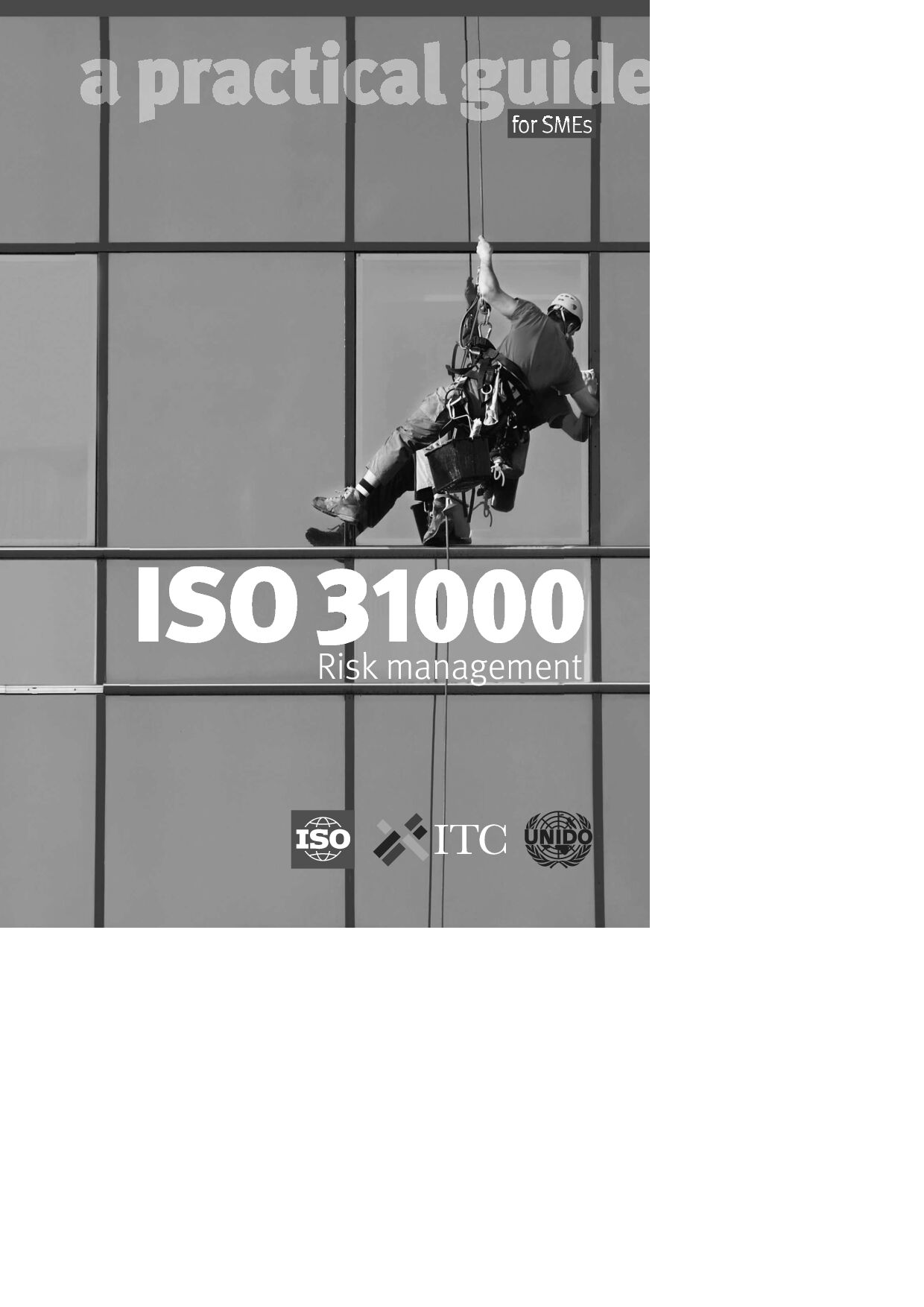 ISO 31000 Risk management - A practical guide for SMEs 2015封面图
