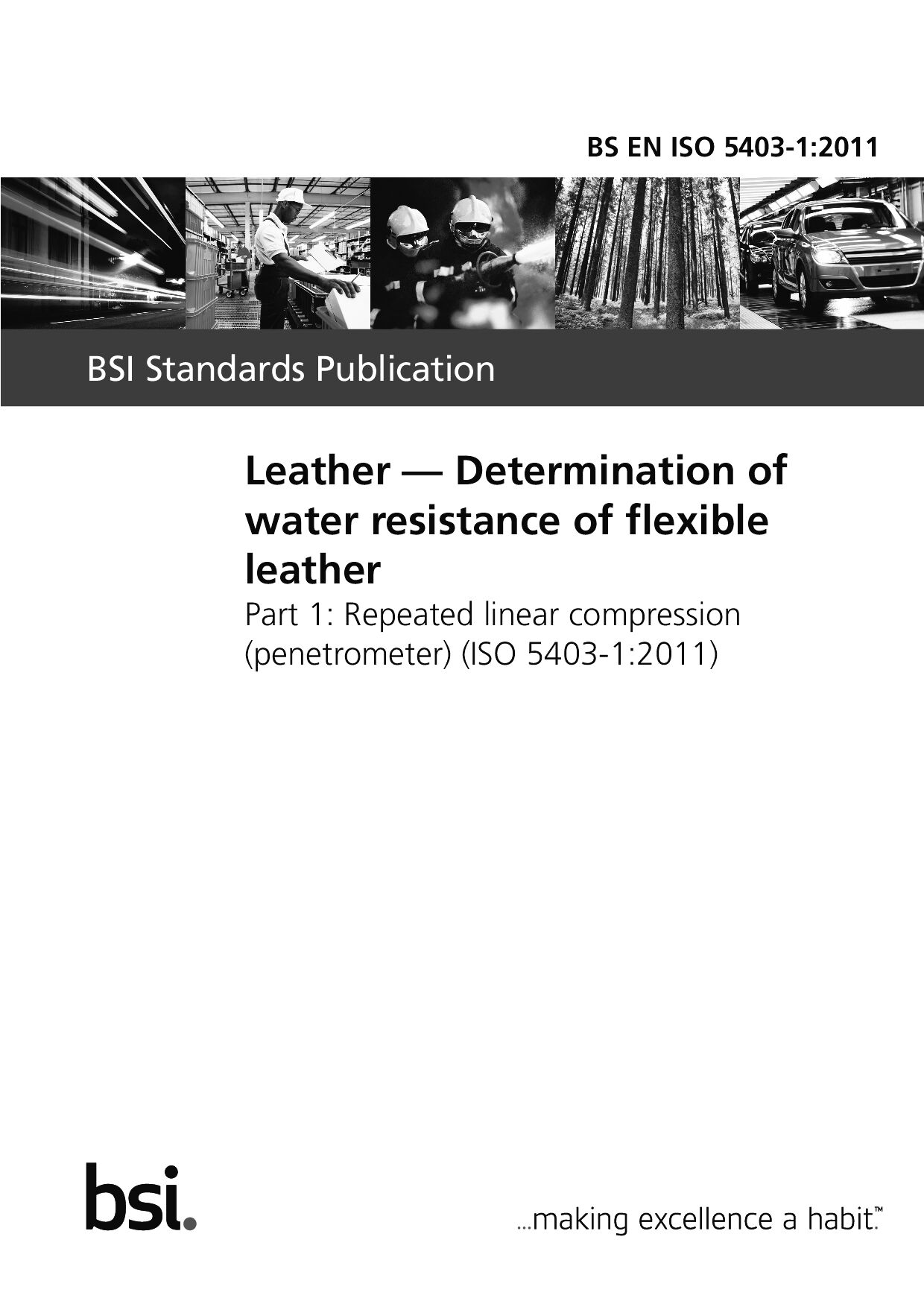 BS EN ISO 5403-1:2011封面图